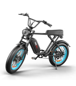 C91-20 Inch Dual-drive High-speed Electric Bike
